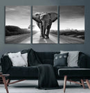 Black and White Elephant Wall Art Canvas Print