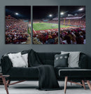 Washington-Grizzly Stadium Canvas Print, American Football