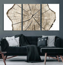 Abstract Wood Tree Ring Wall Art - Ready to Hang Minimalist