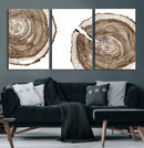 Wood Tree Ring Wall Art Canvas Prints, Tree Rings –