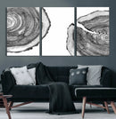 Abstract Large Tree Rings – Minimalist Black and White Wood