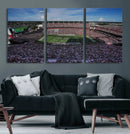 South Carolina Gamecocks Football Team Print - Columbia