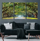 Wormsloe State Plantation Driveway Wall Art Canvas Print by MyGreatCanvas | Canvas Wall Art Prints | Photo Prints & Wall Decor