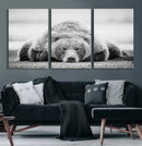 Resting Grizzly Bear Wall Art Canvas Print – Majestic Lazy by MyGreatCanvas | Canvas Wall Art Prints | Photo Prints & Wall Decor