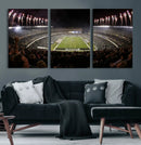 Eagles Field Stadium Wall Art - Philadelphia Eagles Football