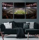 Eagles Field Stadium Wall Art - Philadelphia Eagles Football