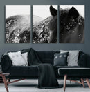 Black Horse in Snow Canvas Print | Winter Horse Wall Art |