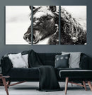 Framed Black and White Horse Wall Art | Ready to Hang and by MyGreatCanvas | Canvas Wall Art Prints | Photo Prints & Wall Decor