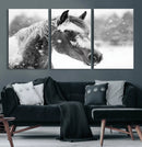 Black Horse Winter Wall Art | Ready to Hang and Framed |