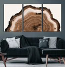 Rustic Wood Rings Wall Art | Nature-Inspired Tree Ring