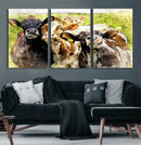 Curious Cows Farmhouse Wall Art | Ready to Hang and Framed