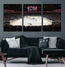 T Mobile Arena Paradise Nevada Vegas Golden Knights Ice