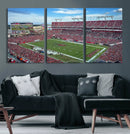 Florida Tampa Raymond James Stadium Wall Art Canvas Print -