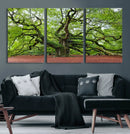 Framed Angel Oak Tree Wall Art - 3-Panel Canvas Prints,