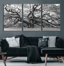 Black White Angel Oak Tree Wall Art - Timeless