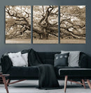 Sepia Framed Angel Oak Tree Wall Art - 3-Panel Canvas