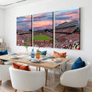 Carter-Finley Stadium Art Sunset Game Triple Canvas Wall Art
