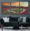 Camp Randall Stadium Wisconsin Badgers Large Wall Art Canvas