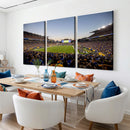 Pittsburgh Panthers Football Team Print - Pittsburgh