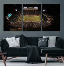 Wake Forest University Demon Deacons Canvas Printi, Football