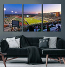 University of North Texas Mean Green Football Team Print - by MyGreatCanvas | Canvas Wall Art Prints | Photo Prints & Wall Decor