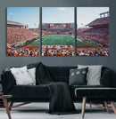 Framed Texas Memorial Stadium Canvas, University of Texas