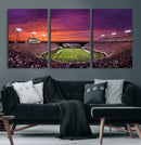East Carolina University Pirates Football Print Canvas-