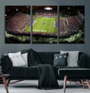 Florida Atlantic University Owls Football Team Print - Boca by MyGreatCanvas | Canvas Wall Art Prints | Photo Prints & Wall Decor