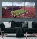 University of Nebraska Cornhuskers Football Team Print -