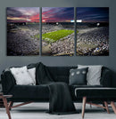 Penn State Nittany Lions Football Team Print - University