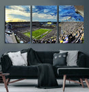 Framed USF Bulls Football Team Print - Tampa Raymond James by MyGreatCanvas | Canvas Wall Art Prints | Photo Prints & Wall Decor