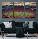 Framed Arizona Wildcats Football Team Print - Tucson Arizona by MyGreatCanvas | Canvas Wall Art Prints | Photo Prints & Wall Decor