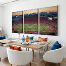 Arizona Wildcats Football Team Print - Tucson Arizona