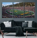 University of California Golden Bears Football Team Print - by MyGreatCanvas | Canvas Wall Art Prints | Photo Prints & Wall Decor