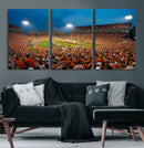 Clemson University Tigers Football Team Print - Clemson
