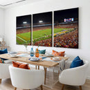 Iowa State University Cyclones Football Team Print - Ames