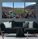 Michigan State Spartans Football Team Art Print - East