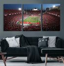 Ohio State University Buckeyes Football Team Print -