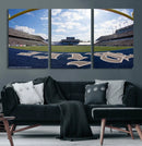 Rice University Owls Football Team Print - Houston Rice by MyGreatCanvas | Canvas Wall Art Prints | Photo Prints & Wall Decor