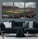 Rutgers Scarlet Knights Football Team Print - SHI Stadium,