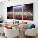 Rutgers University Scarlet Knights Football Team Print -