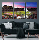 Stanford University Cardinal Football Team Print - Stanford