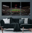 Framed Texas Tech Red Raiders Stadium Canvas, Texas Tech Red