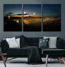 Ball State Cardinals Football Team Print - Muncie Scheumann