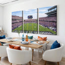 TCU Horned Frogs Football Team Print - Fort Worth Amon G.