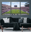 TCU Horned Frogs Football Team Print - Fort Worth Amon G.