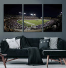 TCU Horned Frogs Football Team Print - Fort Worth Amon G.