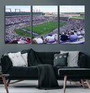 The Texas Christian University TCU Horned Frogs Football