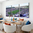 The Texas Christian University TCU Horned Frogs Football