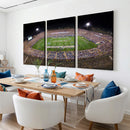 The University of Connecticut UCONN Huskies Football Team